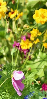 Vibrant yellow and pink floral wallpaper with green foliage.