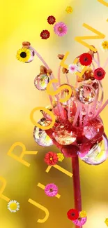 Close-up photo of a flower with vibrant hues and water droplets.