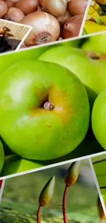 Collage of green apples with natural elements in vibrant colors.