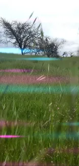 Vibrant green field with trees and glitch effect under a cloudy sky.