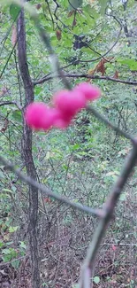 Pink berries in a lush green forest setting wallpaper.