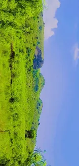 A vibrant landscape of green meadows against a bright blue sky.