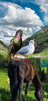 Birds perched on horse in mountain landscape.