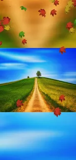 Colorful nature wallpaper with a scenic path and autumn leaves.