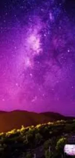 Vibrant forest and purple sky wallpaper for phones.