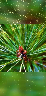 Close-up of vibrant pine branches on a green nature background wallpaper.