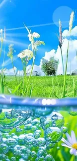 Vibrant summer nature wallpaper with green fields and blue water.