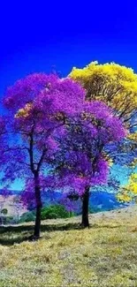 Vibrant purple and yellow trees under a blue sky.