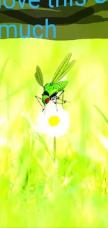 Fly on daisy in vibrant green field wallpaper.