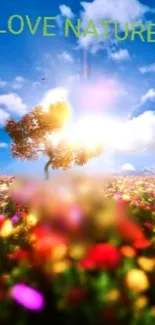 A vibrant nature wallpaper with colorful flowers and a bright blue sky.