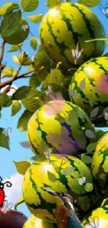 Vibrant watermelon stack with birds against a bright blue sky.