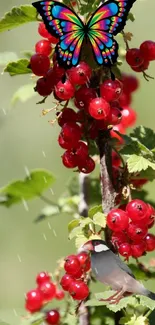 Colorful butterfly, bird, and berries on a green branch wallpaper.