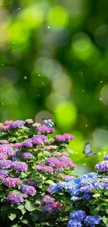 Hydrangeas and butterflies in a vibrant green nature background.