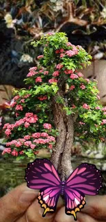 Bonsai tree with pink flowers and butterfly on phone wallpaper.