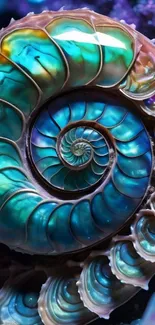 Colorful nautilus shell with teal, blue, and golden hues in a spiral pattern.