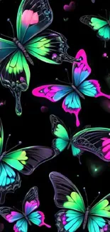 Colorful neon butterflies on black background