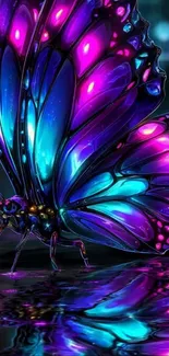 Vibrant neon butterfly wallpaper art.