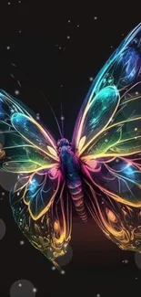 Vibrant neon colored butterfly on black background wallpaper.