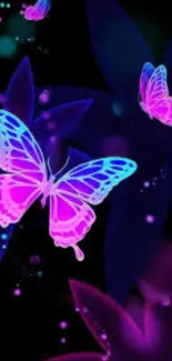 Neon butterflies with glowing wings on a dark background.