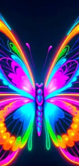 Vibrant neon butterfly wallpaper with colorful wings in artistic pattern.