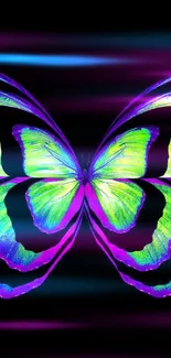 Neon green and pink butterfly on black background wallpaper.