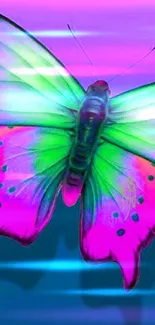 Vibrant neon butterfly with pink, green, and purple wings on a colorful background.