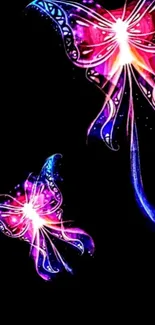 Vibrant neon butterflies glow on a black background, creating digital art beauty.