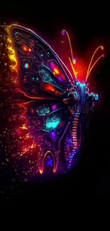 Neon butterfly wallpaper with colorful vibrant design.