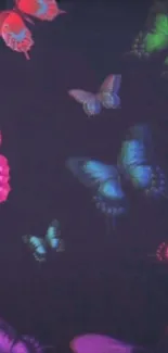 Colorful neon butterflies on a dark background wallpaper.