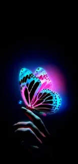 Vibrant neon butterfly glowing beautifully in a dark, artistic setting.