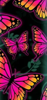 Vibrant pink and orange butterfly wallpaper.