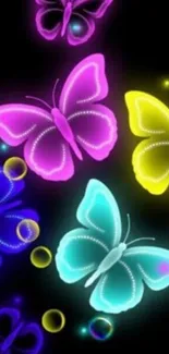 Vibrant neon butterflies on black background.