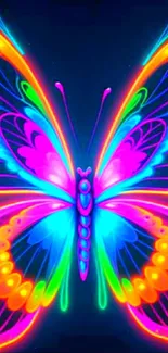 Neon butterfly wallpaper with vibrant colors and intricate details.