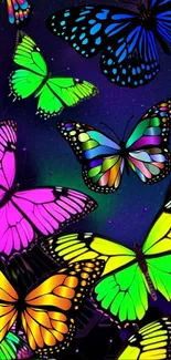 Colorful neon butterflies on a black background.