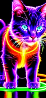 Colorful neon cat with glowing vibrant design on black background.