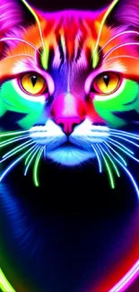 Vibrant neon cat with rainbow colors in digital art style on a black background.