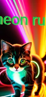 Playful neon cat surrounded by vibrant colors.