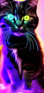 Neon cat with multicolored eyes on a purple background.