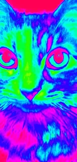 Neon cat wallpaper with electric blue and green hues.