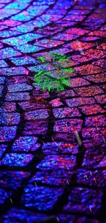 Colorful neon lights reflecting on cobblestone texture wallpaper.