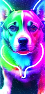 Colorful neon dog mobile wallpaper with vibrant green hues.