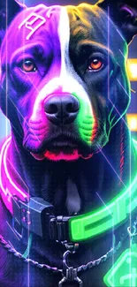 Vibrant neon dog with glowing collar and colorful lights.