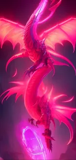 Neon dragon art with vibrant pink wings.