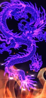 Purple neon dragon with fiery accents on dark background.