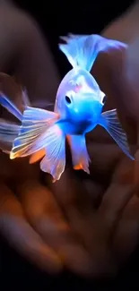 Vibrant neon fish in glowing colors in hands.