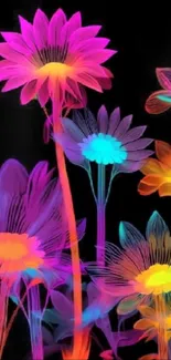 Vibrant neon flowers against a dark background, glowing with colorful blooms.