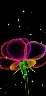 Colorful neon flower on black background wallpaper.