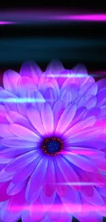 Neon purple flower wallpaper with glowing petals.