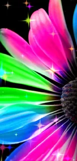 Vibrant neon flower wallpaper with colorful petals on black background.