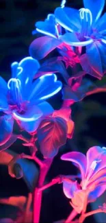 A vibrant, neon flower wallpaper with glowing blue and pink hues.